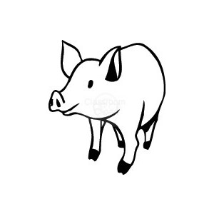 300x300 Realistic Clipart Pig