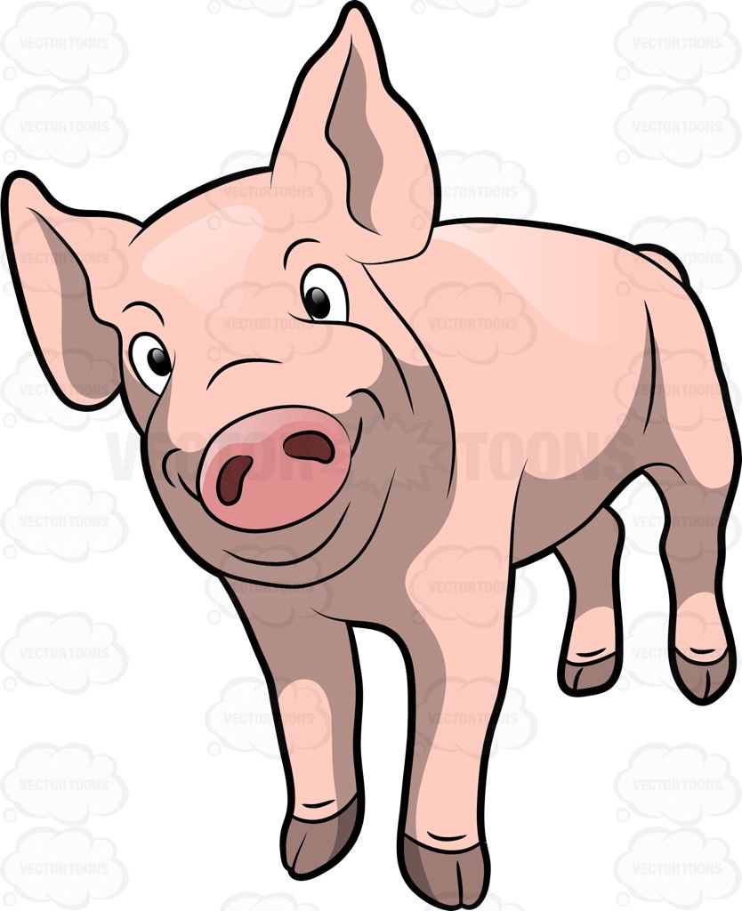 834x1024 A Cute Pig Smiling Cartoon Clipart