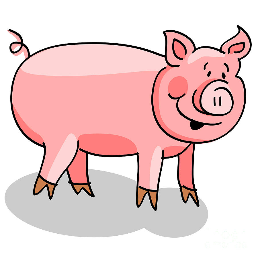 900x900 Pig Cartoon On White Digital Art By Sylvie Bouchard