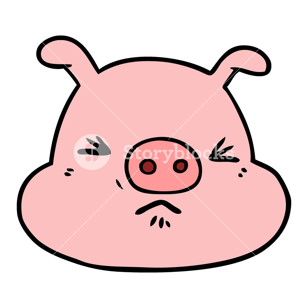1000x1000 Cartoon Angry Pig Face Royalty Free Stock Image