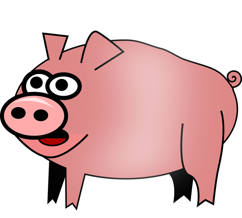 798x720 Pig Clipart No Color