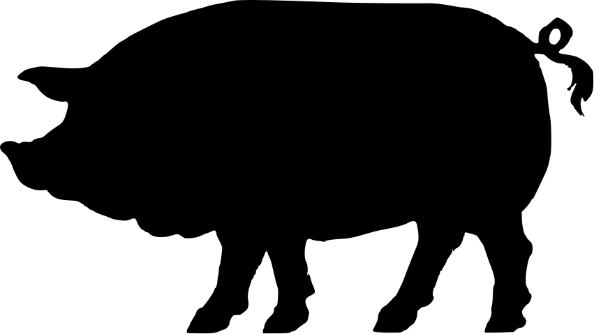 851x479 Shadow Clipart Pig