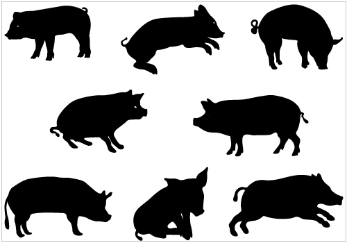500x350 Pig Silhouette Clipart