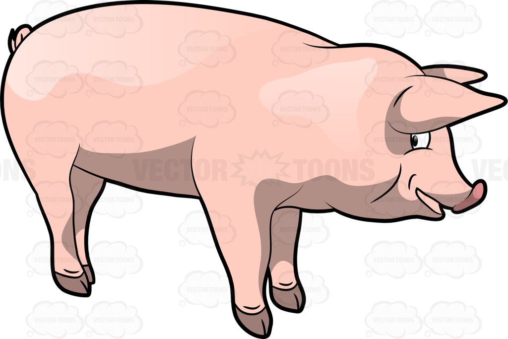 1024x683 Porky Clipart