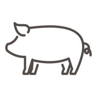 200x200 Pig Pigs Swine Animal Animals Mammal Mammals Domestic Farm Animal
