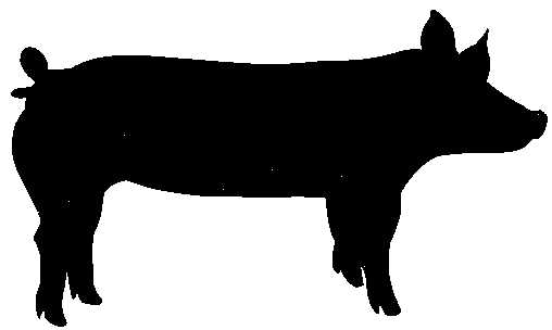 508x304 Pig Clipart Hampshire