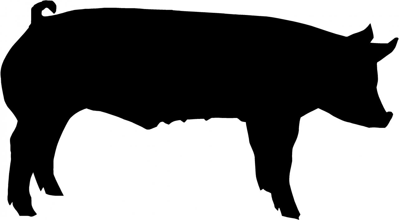 1280x705 Shadow Clipart Pig