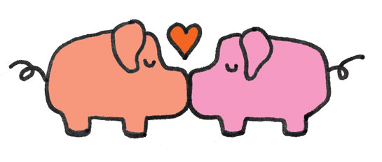 545x232 How Do Pigs Kiss Pen And Oink