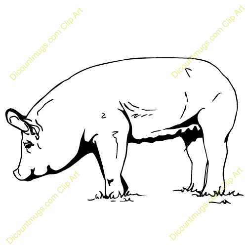 500x500 Pig Pen Clipart