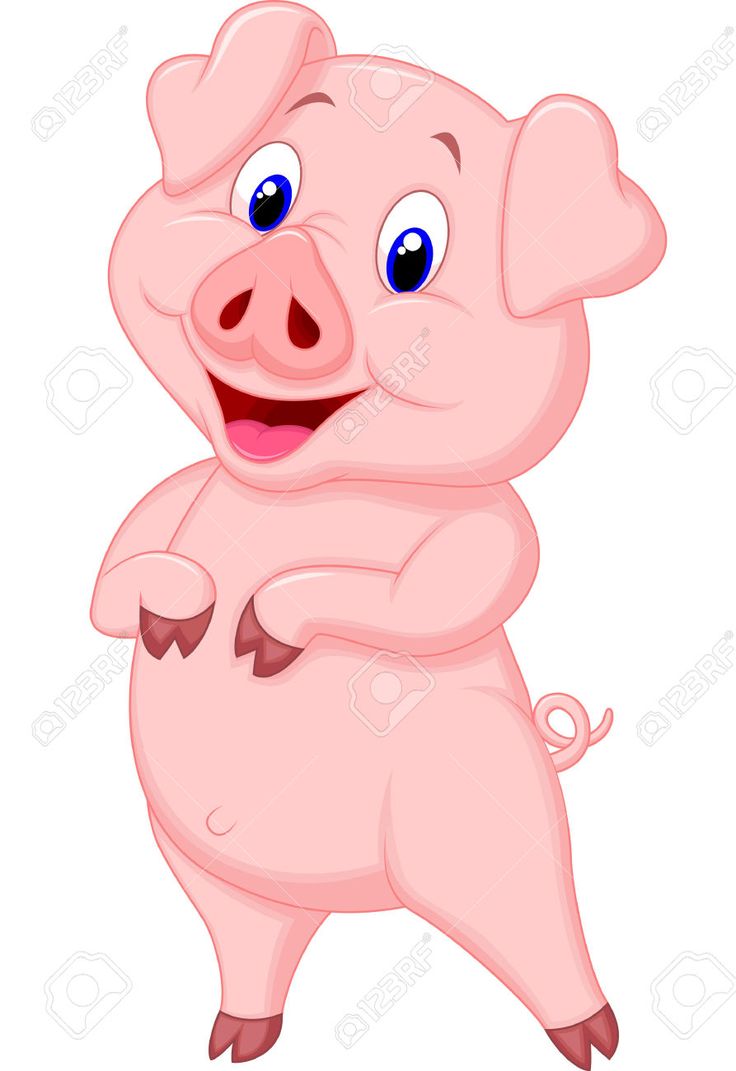 736x1071 21 Best Pig Images Angel, Character Design And Drawings