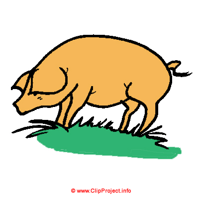 400x400 Pig Cartoon Clip Art Image