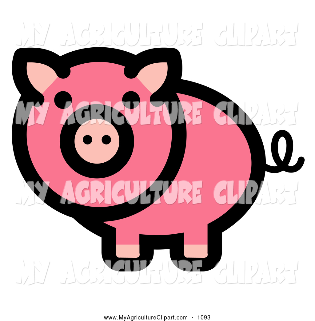 1024x1044 Royalty Free Pig Stock Agriculture Designs