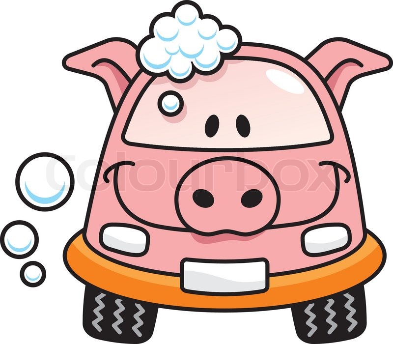800x700 A Pig Cartoon Car Washing With Soap Bubbles Stock Vector Colourbox