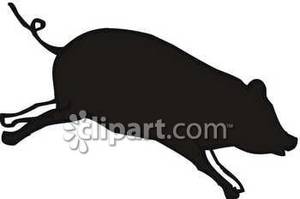 300x199 Of A Jumping Pig
