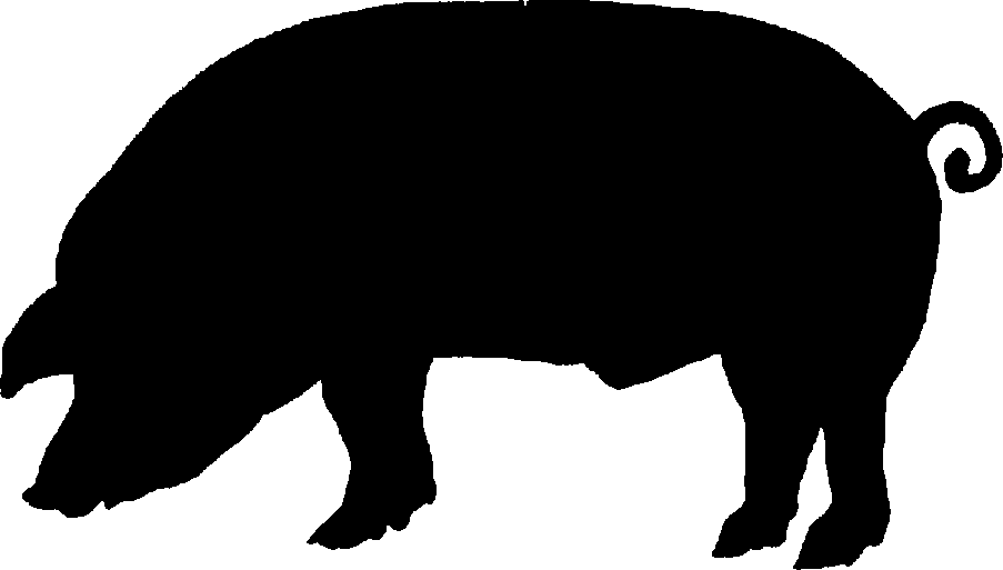 903x513 Pig Silhouette Clip Art Many Interesting Cliparts