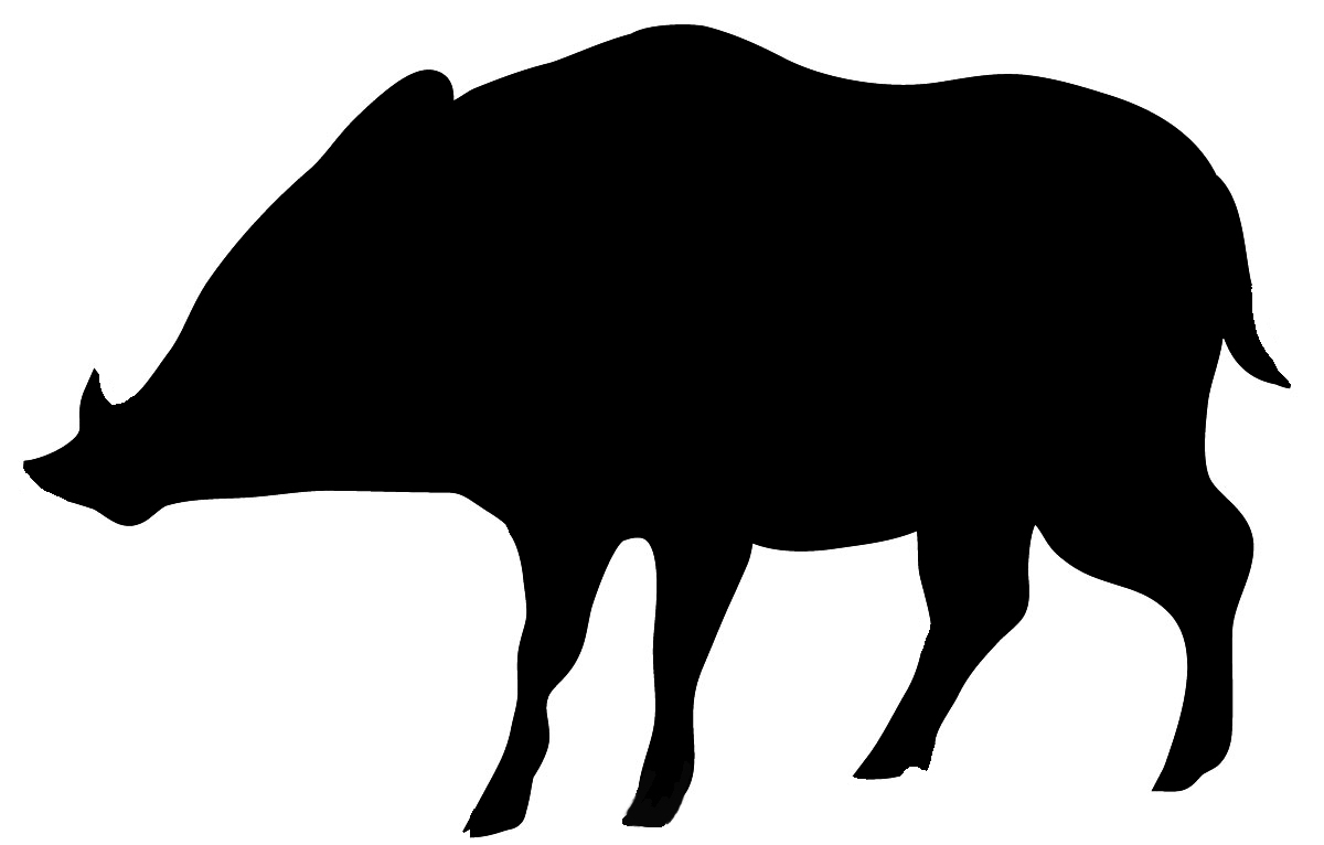 1200x766 Pig Clipart Wild Boar