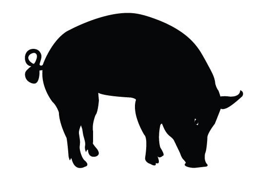 550x354 Pig Silhouette Vectors Silhouettes Vector