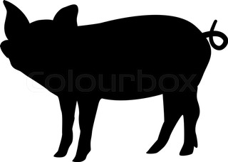 320x228 Set Of Logos With A Pig, Vector Simple Illustration Isolated