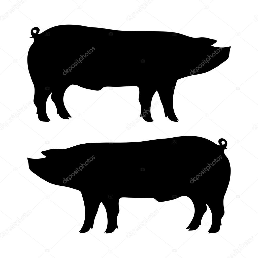 1024x1024 Pig Silhouette Stock Vector Balakoboz