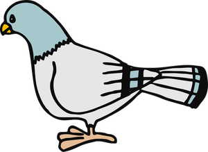 Pigeon Clipart