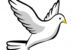 235x165 Gorgeous Ideas Pigeon Clipart Free To Use Public Domain Clip Art