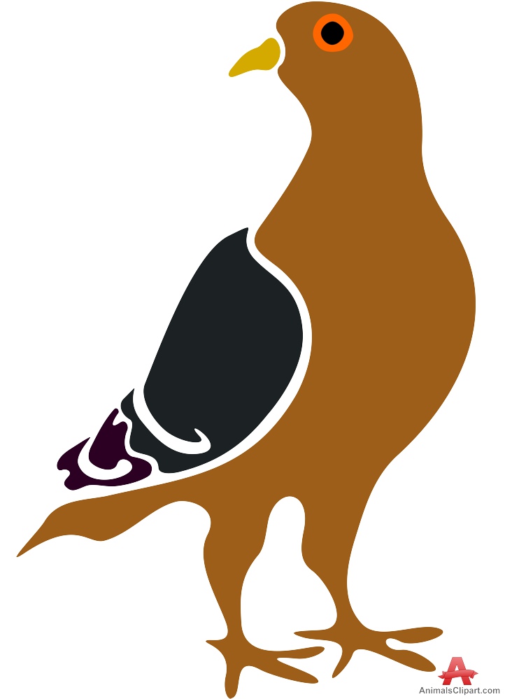722x999 Pigeon Animal Clip Art