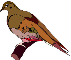 300x255 Pigeons Clip Art