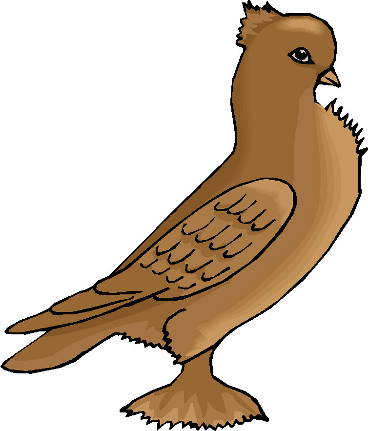 754x883 Pigeons Clip Art 2