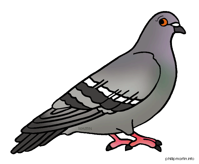 648x536 Top 77 Pigeon Clip Art