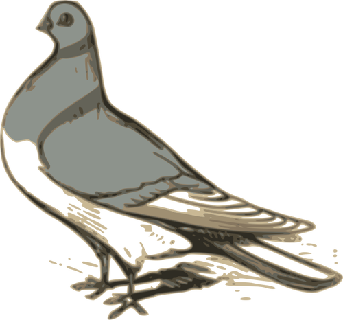 500x466 Vector Clip Art Of Grey Pigeon Illustration Public Domain Vectors