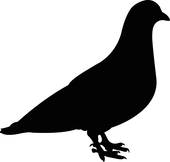 170x162 Pigeon Silhouette Clip Art
