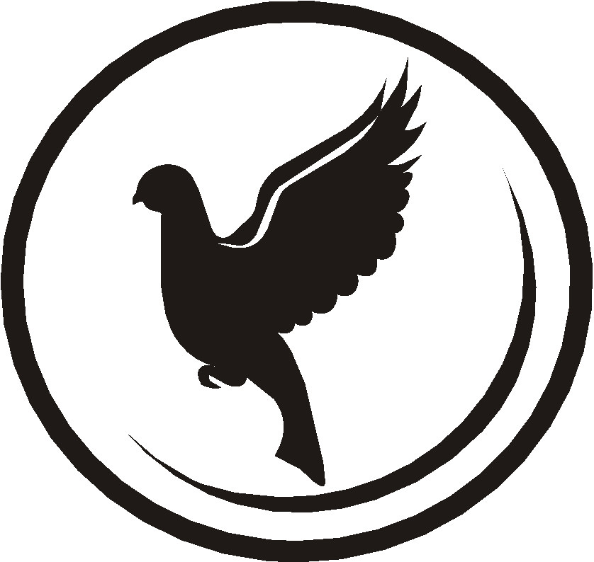 838x794 Pigeon Clipart Art