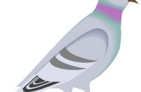 200x130 Bright Design Pigeon Clipart Pigeons Clip Art