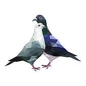 170x170 Royalty Free Grey Pigeon Clip Art