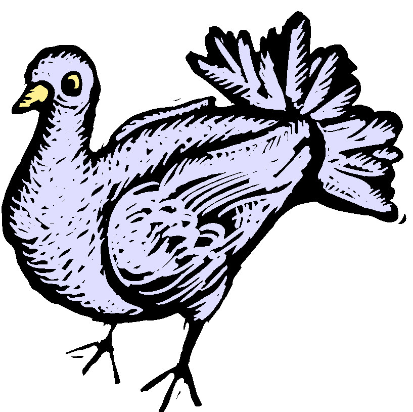 817x815 Pigeon Clip Art