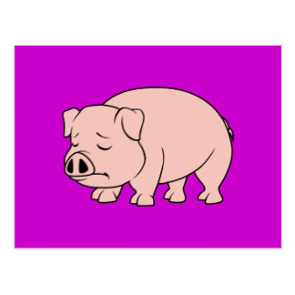 324x324 National Pig Day Postcards Zazzle