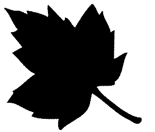 320x271 Black And White Leaves Clipart Group