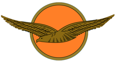 400x211 Aviator Badge