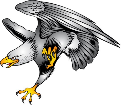 500x432 Eagle Clip Art Head On In Flight Wings Up Free