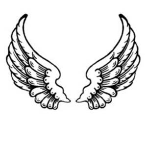 300x300 Wings Clipart Feather