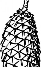 141x233 Flat Pine Vector Free Vectors Ui Download