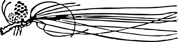 600x142 Pine Cone And Needles Clip Art