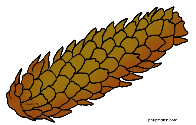 648x414 Brown Clipart Pinecone