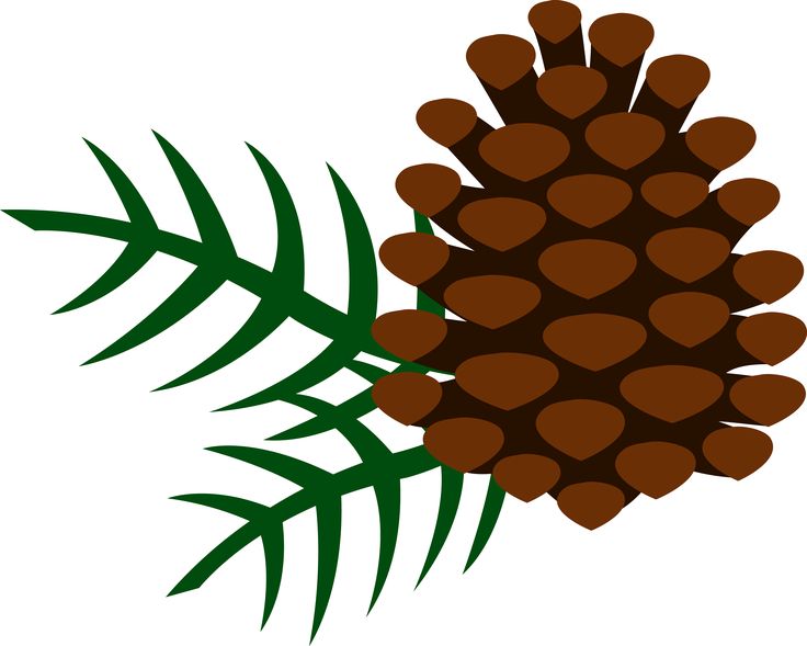 736x589 Pine Cone Garland Clip Art