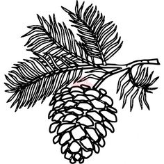 236x236 Pine Tree Silhouette Clip Art