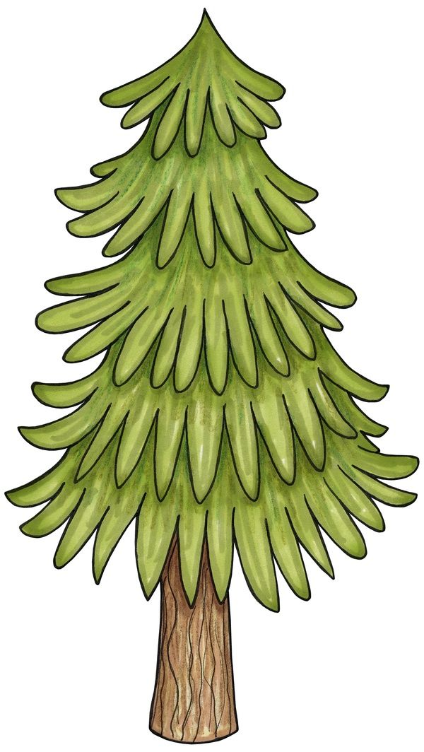 600x1064 Pine Tree Clipart Cute