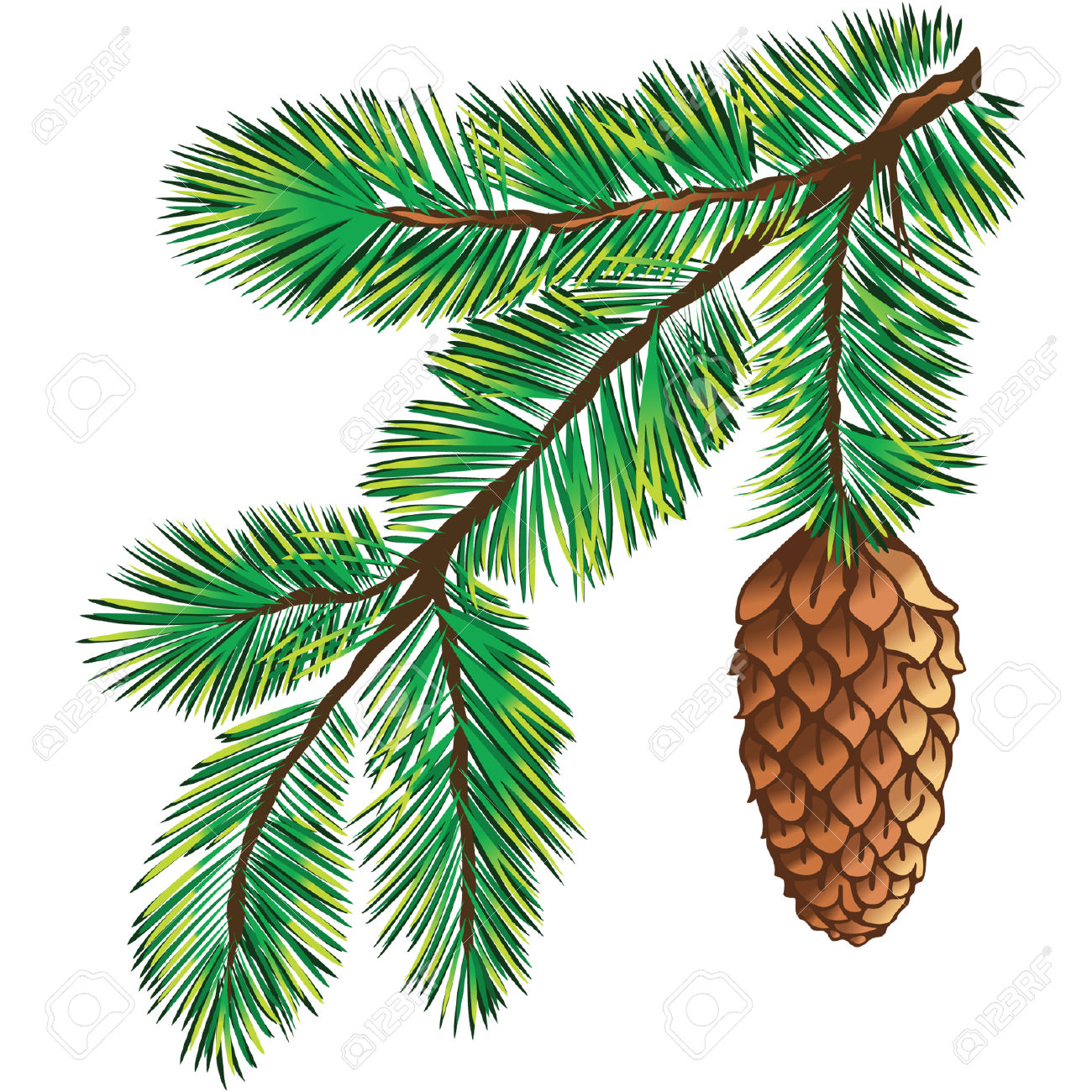 1300x1300 Pine Tree Clipart Pine Needle