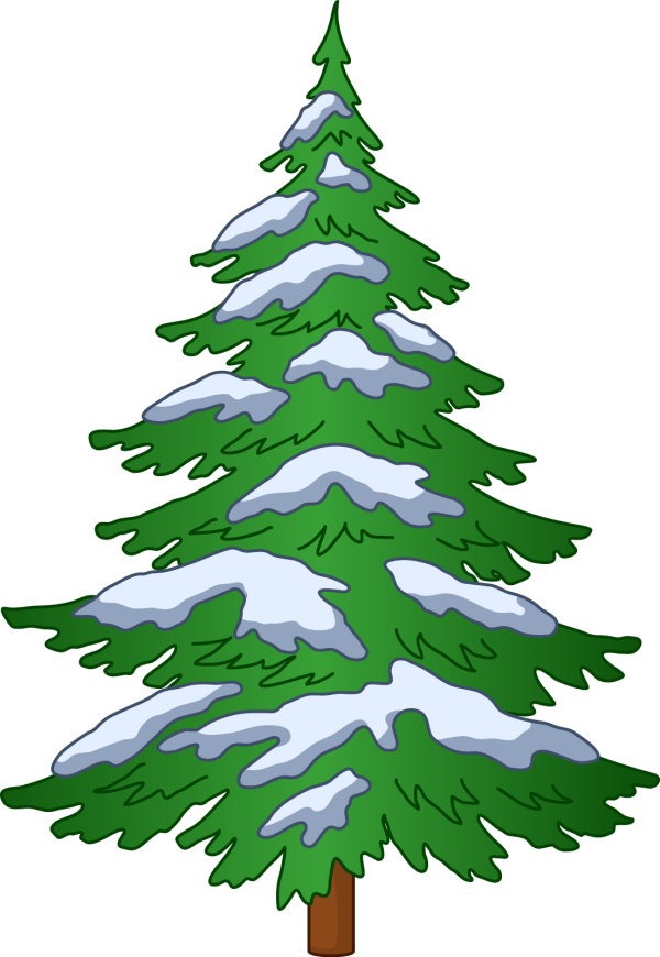 600x870 Pine Tree Clipart Vector