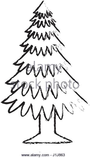 309x540 Plants Tree Art Black And White Stock Photos Amp Images