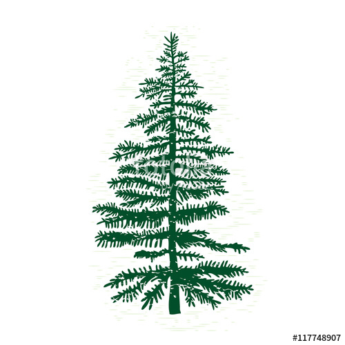 Pine Tree Black And White | Free download on ClipArtMag